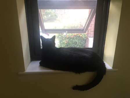 Another happy customer in Sunbury on Thames